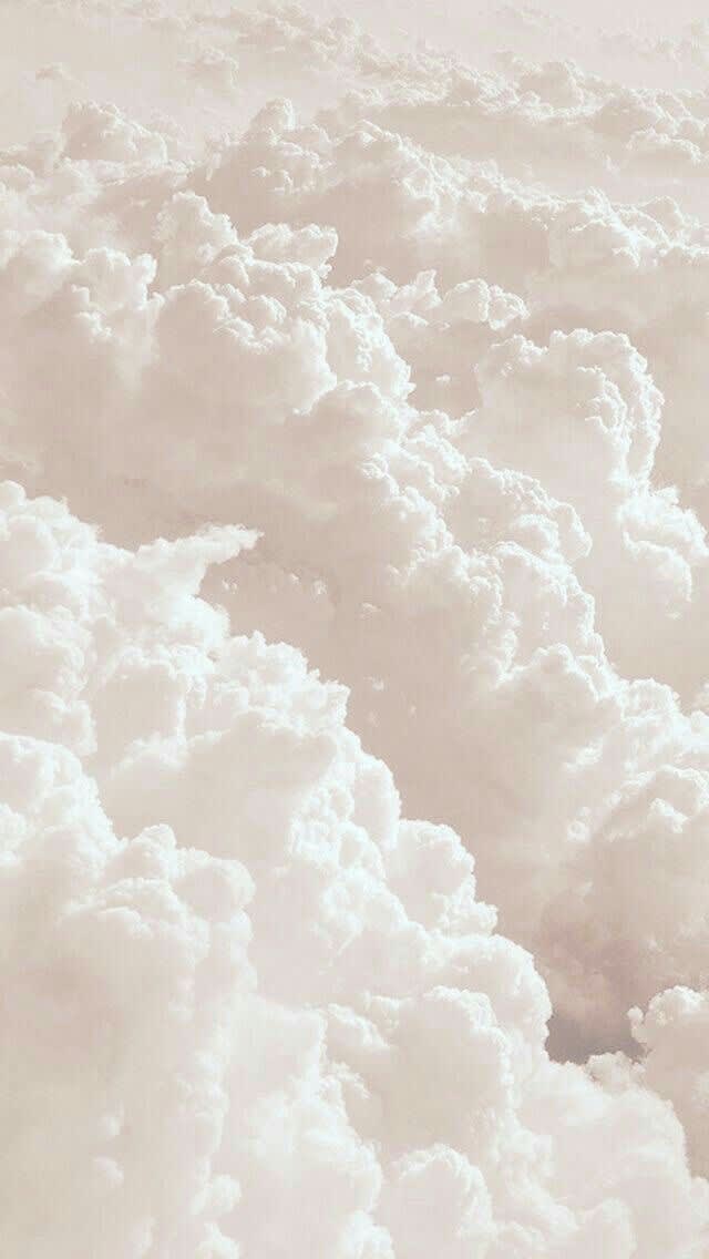 user wallpaper